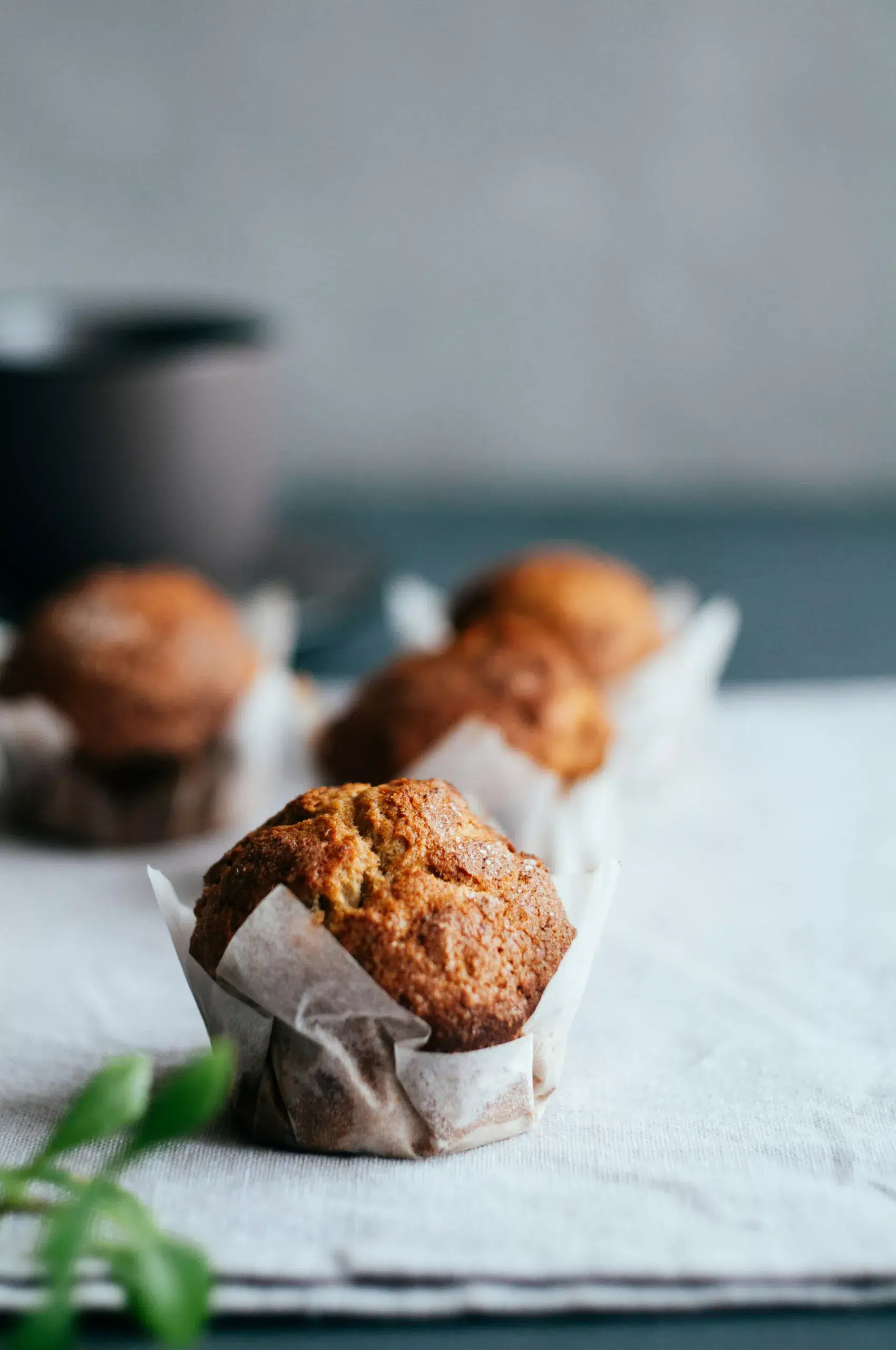 Bran Muffins – homemade traditional South African recipe, plated and ready to serve