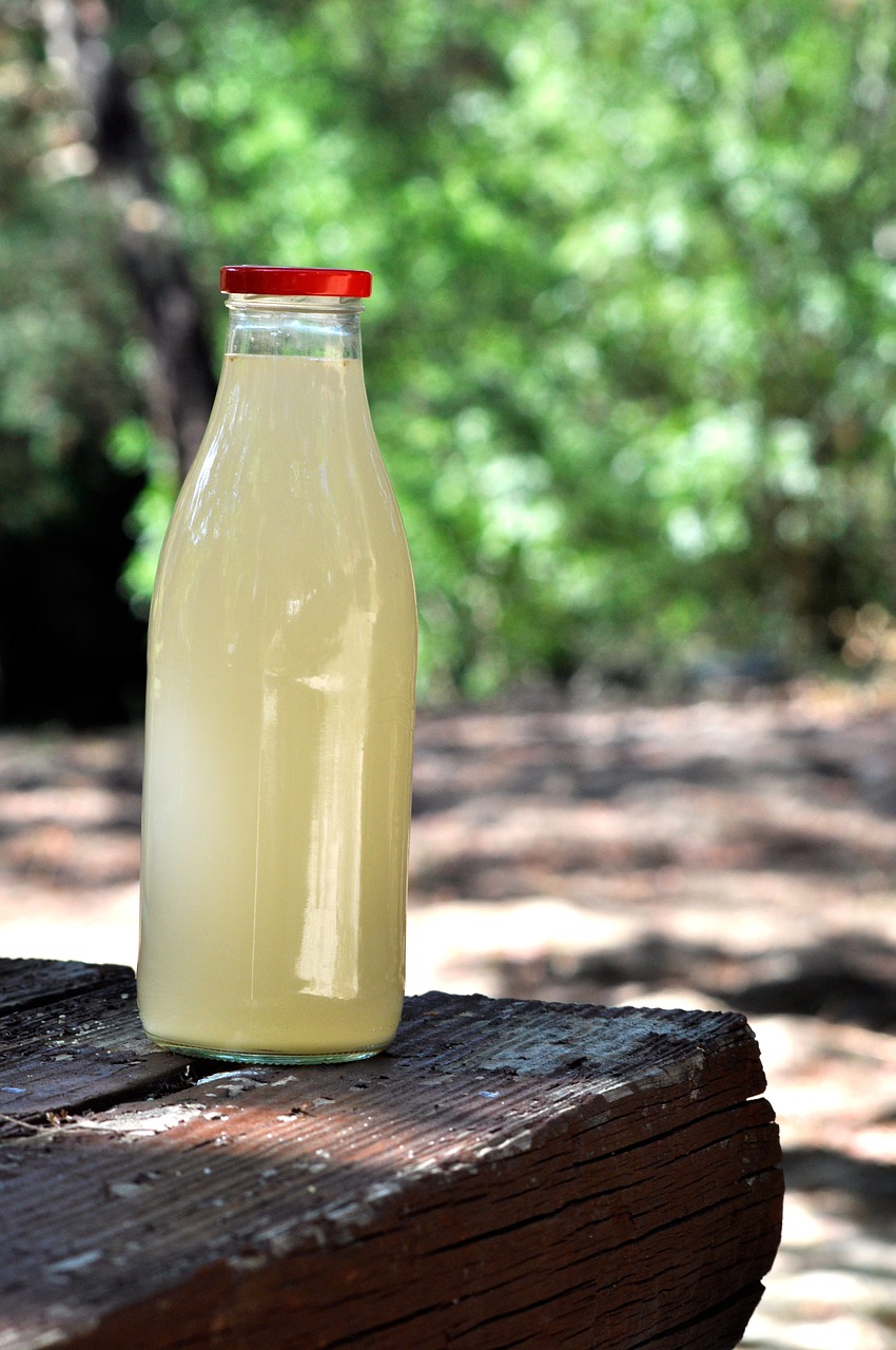 Traditional Gemmerbier – homemade traditional South African recipe, plated and ready to serve